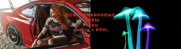 PSILOCYBIN Магас