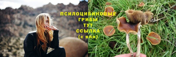 apvp Лиски