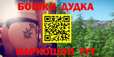 прущие грибы Краснодар