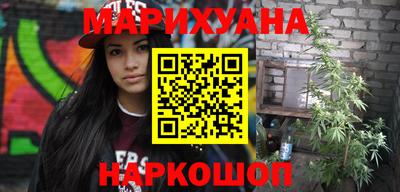 прущие грибы Краснодар