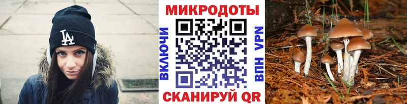 Псилоцибиновые грибы Magic Shrooms  Сосновоборск 