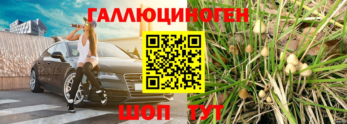Сосновоборск  Псилоцибиновые грибы MAGIC MUSHROOMS  Вход с VPN 
